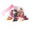 Bote 24 Pinzas Para Cabello mini Metalizadas Figuras | 1 Bote | XQ-L4-441