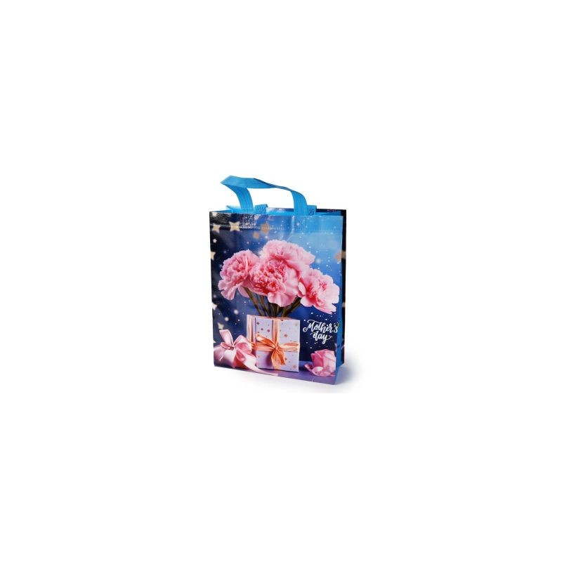 Bolsa De Plástico Ecológica Mediana Estampada Corazones Colores 31 x 25 Cm | XQ-B4-23